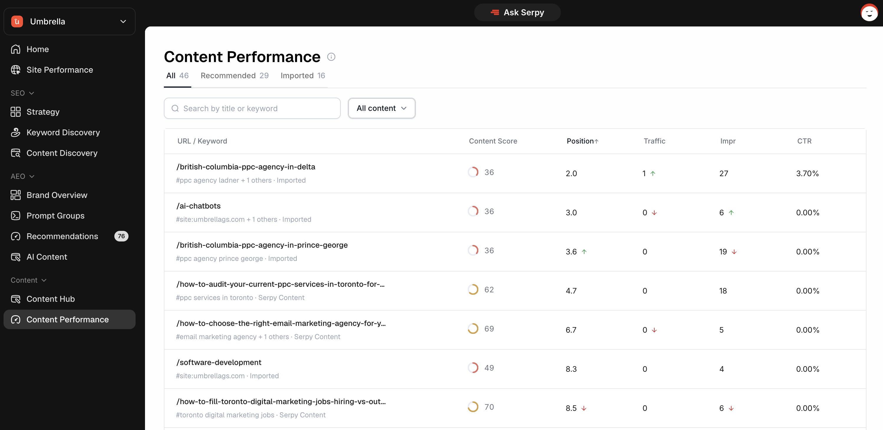 Serpy content performance dashboard
